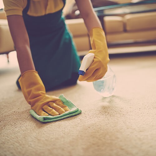 Carpet cleaning | Leaf Floor Covering